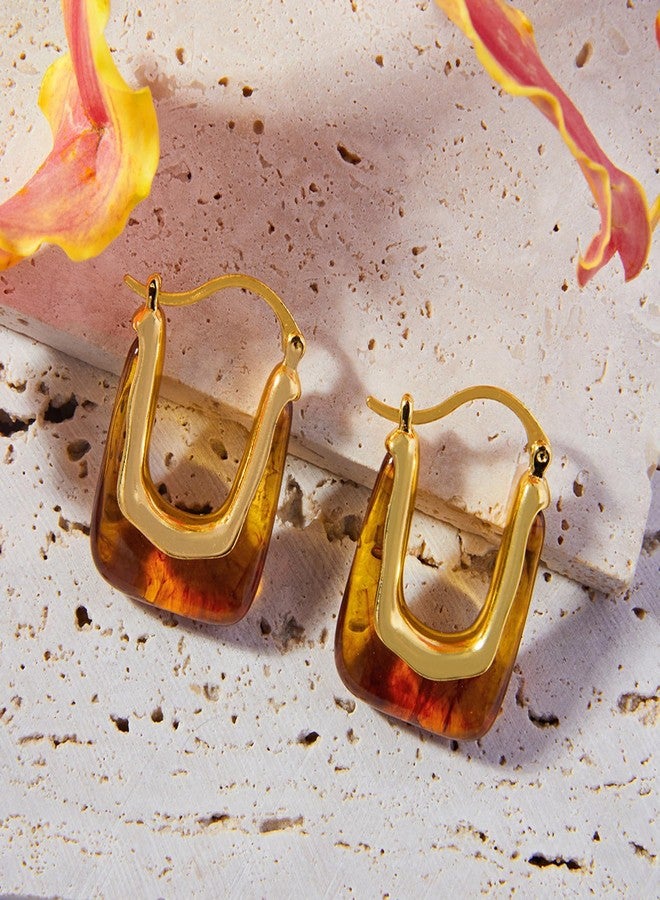 Novearring Brown Earrings for Women Acrylic Hoop Earings Brown and Gold Earring Tortoise Shell Jewelry Amber Bronze Hoop Earing Fall Accessories for Womens Fashion 2025 Trends - Image 5